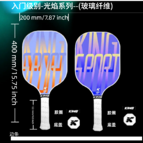 Flame Series pickleball equipments