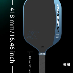 Star core Series pickleball sets